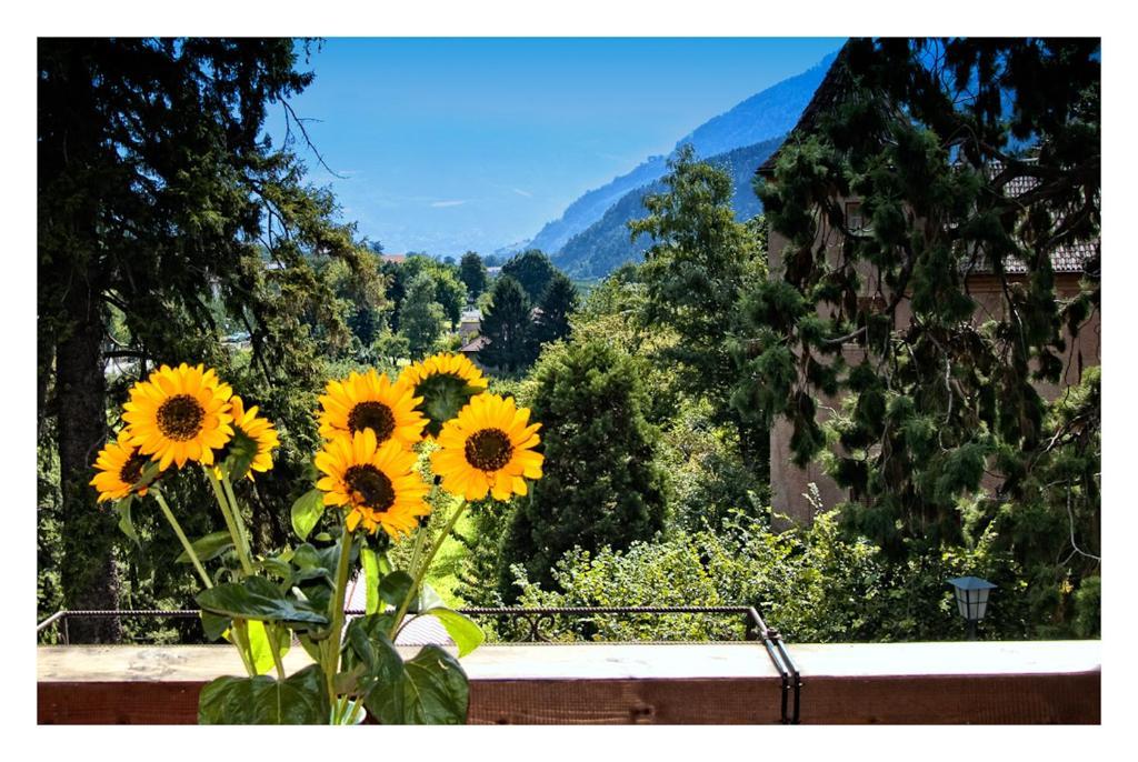 Apparthotel Taufenbrunn Parcines Luaran gambar
